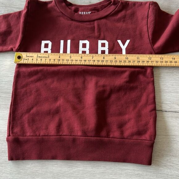 Ford and Wyatt X Little Bipsy Bubby Sweatshirt Holly Berry 18-24 M NWT IN PKG - Picture 7 of 9